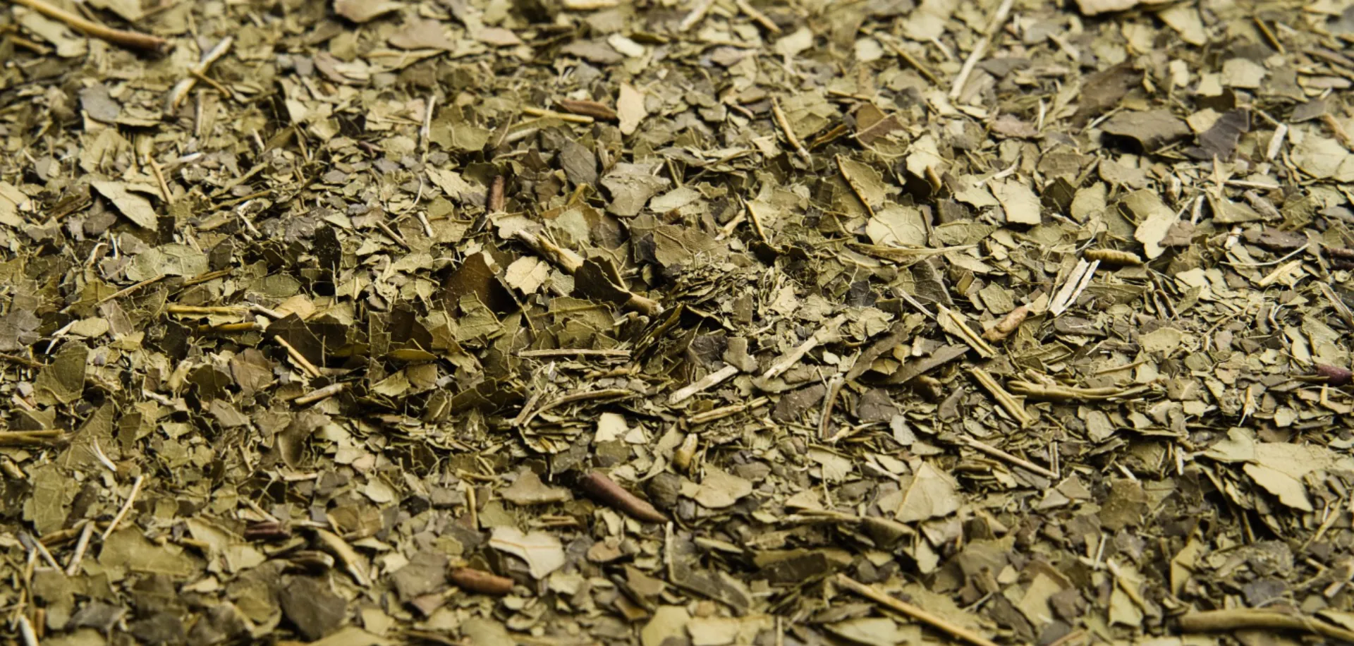 Organic Yerba Mate