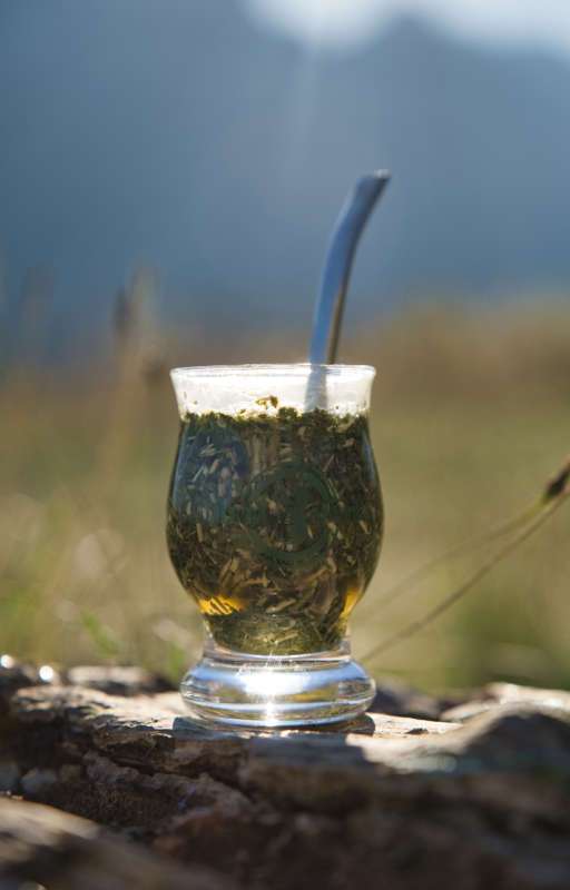 Mate with yerba mate and bomba in nature